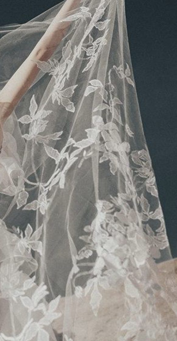 Terra Embroidered Cathedral Floral Veil By Ofrenda